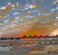 Broome City Sightseeing Tour with Optional Camel Ride - SA Accommodation