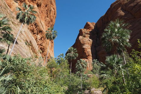 13-Day Kimberley Walking Tour Including Spectacular Gorges The Gibb River Road And The Bungle Bungles - SA Accommodation 6