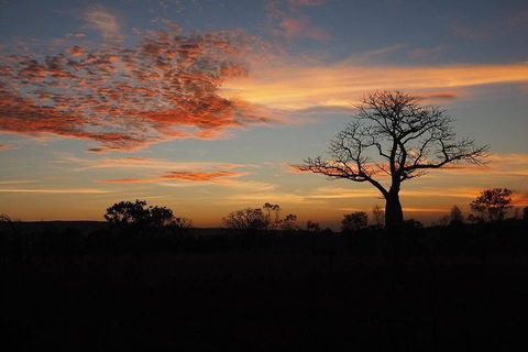 13-Day Kimberley Walking Tour Including Spectacular Gorges The Gibb River Road And The Bungle Bungles - SA Accommodation 4