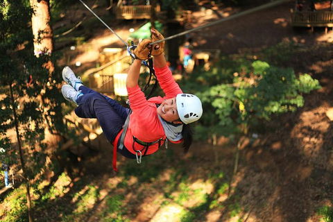 Trees Adventure Lane Poole Park - Treetop & Zipline Experience - SA Accommodation 0
