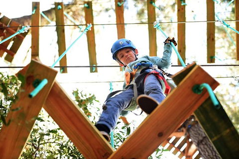 Trees Adventure Lane Poole Park - Treetop & Zipline Experience - SA Accommodation 1
