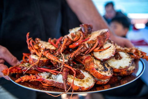 Mandurah Wild Seafood Adventure Cruise - SA Accommodation 1