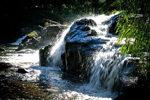 Margaret River Wine Adventure - The Tour For People Who Don\'t Do Tours! - SA Accommodation 17