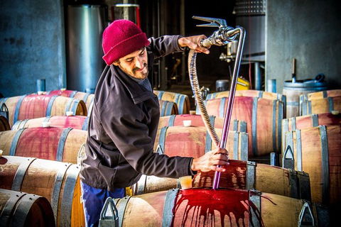 Margaret River Wine Adventure - The Tour For People Who Don\'t Do Tours! - SA Accommodation 20