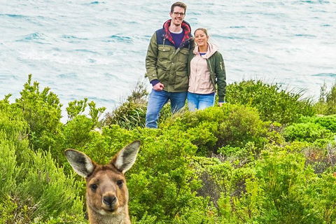 Margaret River Wine Adventure - The Tour For People Who Don\'t Do Tours! - SA Accommodation 3