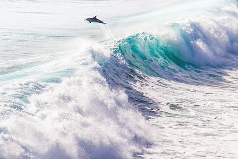 Margaret River Wine Adventure - The Tour For People Who Don\'t Do Tours! - SA Accommodation 29