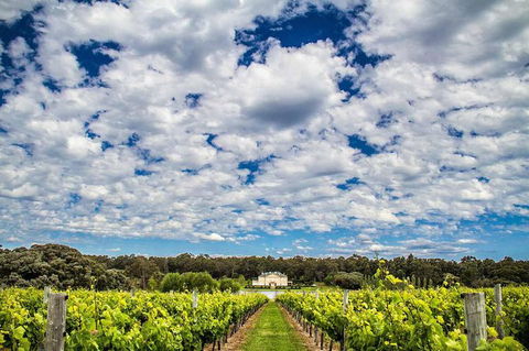 Margaret River Wine Adventure - The Tour For People Who Don\'t Do Tours! - SA Accommodation 14