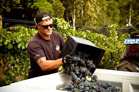 Margaret River Wine Adventure - The Tour For People Who Don\'t Do Tours! - SA Accommodation 26