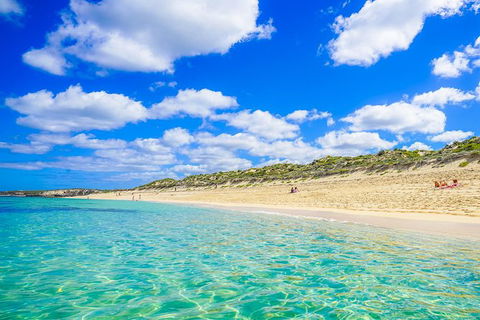 Margaret River Wine Adventure - The Tour For People Who Don\'t Do Tours! - SA Accommodation 24