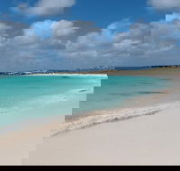 Pink Lake and Abrolhos Full Day Fly and Flipper - SA Accommodation