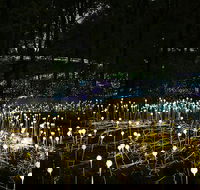 National Anzac Centre Field of Light Panorama Pass - SA Accommodation