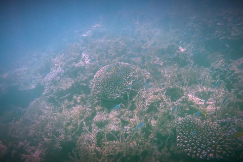 Guided Jet Ski And Snorkel Tour Of Champion Bay - SA Accommodation 1