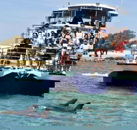 Mandurah Dolphin and Scenic Marine Cruise - SA Accommodation