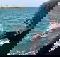 Mandurah Dolphin Island Adventure - SA Accommodation