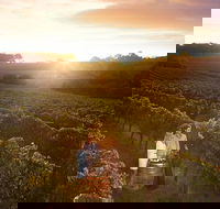 Leeuwin Estate Food and Wine Experience - SA Accommodation