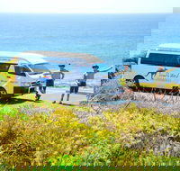 Margaret River Coastal and Wildlife Eco Trip from Busselton or Dunsborough - SA Accommodation