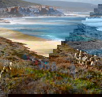 8-Day Cape to Cape Track Guided Walking Tour from Perth - SA Accommodation