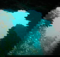 Half-Day Abrolhos Islands Shipwreck Air and Land Tour from Geraldton - SA Accommodation