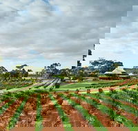 Vasse Felix Winery Tour and Tasting - SA Accommodation