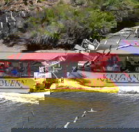Kalgan Queen Scenic Cruises a four hour sheltered water wildlife tour daily fun. - SA Accommodation