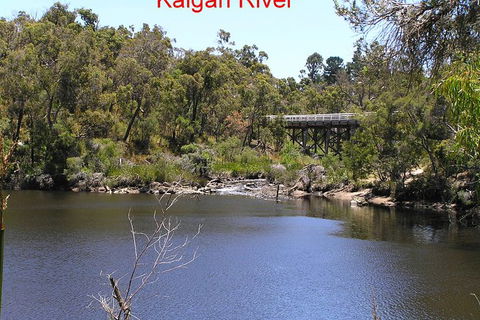 Kalgan Queen Scenic Cruises A Four Hour Sheltered Water Wildlife Tour Daily Fun. - SA Accommodation 3