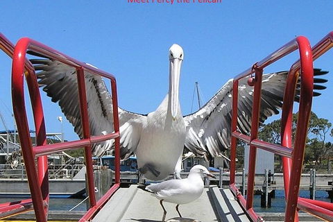 Kalgan Queen Scenic Cruises A Four Hour Sheltered Water Wildlife Tour Daily Fun. - SA Accommodation 4