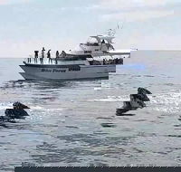 Busselton Whale Watching Eco Tour - SA Accommodation