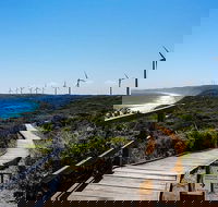 Torndirrup National Park and Bay Highlights - SA Accommodation