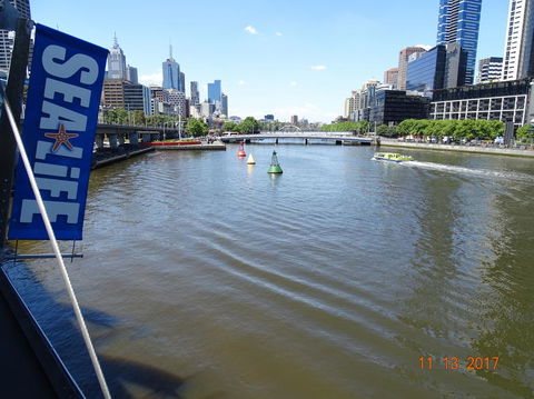 SEA LIFE Melbourne Aquarium Admission Ticket - SA Accommodation 7