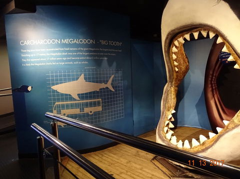 SEA LIFE Melbourne Aquarium Admission Ticket - SA Accommodation 10