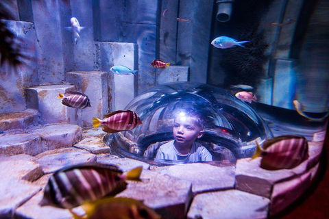 SEA LIFE Melbourne Aquarium Admission Ticket - SA Accommodation 0