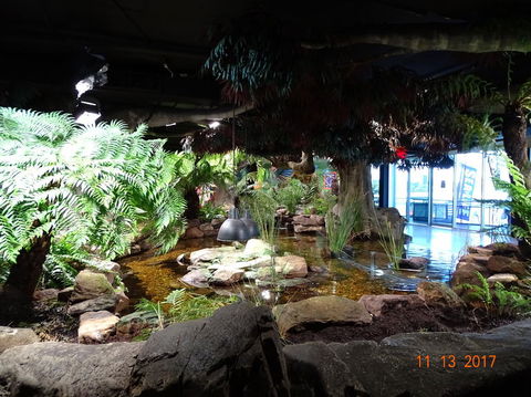 SEA LIFE Melbourne Aquarium Admission Ticket - SA Accommodation 2