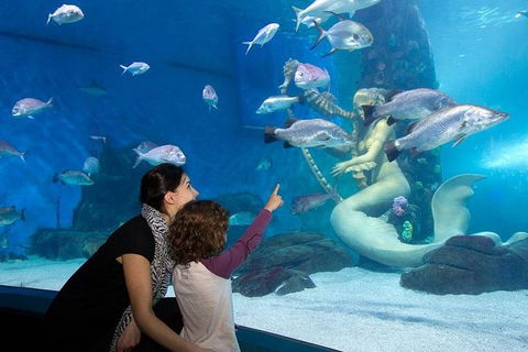 SEA LIFE Melbourne Aquarium Admission Ticket - SA Accommodation 14