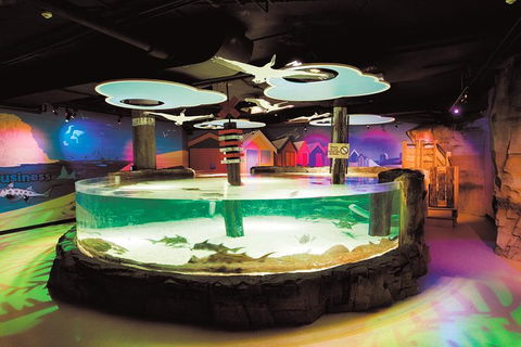 SEA LIFE Melbourne Aquarium Admission Ticket - SA Accommodation 27