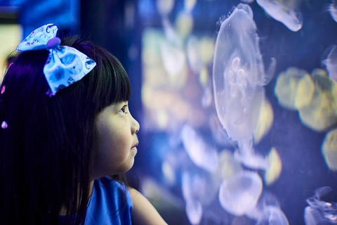 SEA LIFE Melbourne Aquarium Admission Ticket - SA Accommodation 17