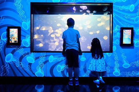 SEA LIFE Melbourne Aquarium Admission Ticket - SA Accommodation 18