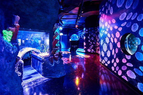 SEA LIFE Melbourne Aquarium Admission Ticket - SA Accommodation 13