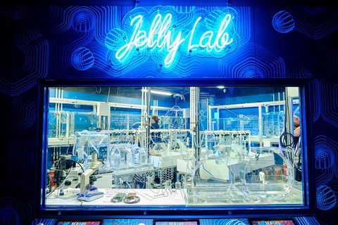 SEA LIFE Melbourne Aquarium Admission Ticket - SA Accommodation 24