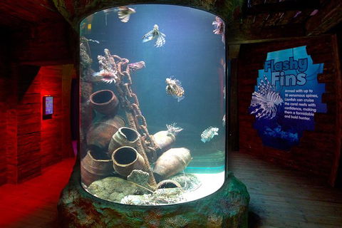 SEA LIFE Melbourne Aquarium Admission Ticket - SA Accommodation 23