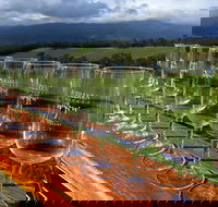 Yarra Valley Local Produce and Wine Tasting Tour - SA Accommodation