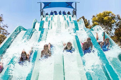 Adventure Park Geelong: General Admission Ticket - SA Accommodation 1