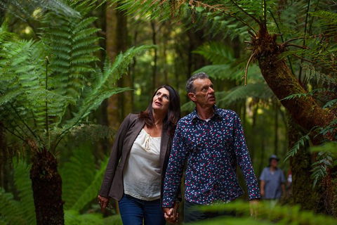 West Coast Wilderness Railway: River And Rainforest From Strahan - SA Accommodation 1