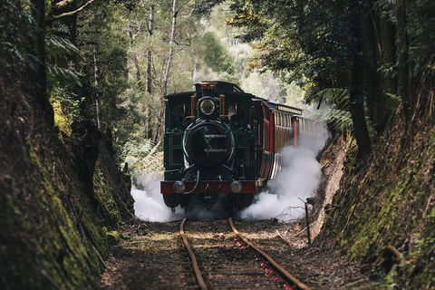 West Coast Wilderness Railway: River And Rainforest From Strahan - SA Accommodation 2