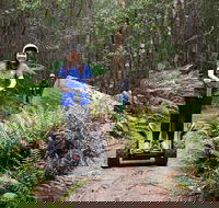 Hollybank Wilderness Adventures - Segway Tour - SA Accommodation