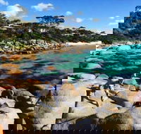 4-Day Tasmania East Coast Adventure from Launceston to Hobart Including Bay of Fires Wineglass Bay Bruny Island and Port Arthu - SA Accommodation