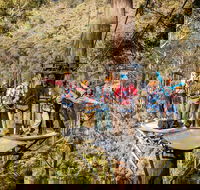 Hollybank Wilderness Adventure - Zipline Tours - SA Accommodation