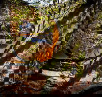 Blue Derby Pods Ride Experience 3-Day Mountain Bike Adventure in Exclusive Pods - SA Accommodation