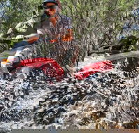 Quad Bike 2-Hour Adventure Freycinet National Park - SA Accommodation