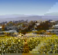 Josef Chromy Wines Winery Tour Including Tasting and Lunch - SA Accommodation