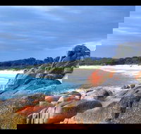 Bay of Fires Day Trip from Launceston - SA Accommodation